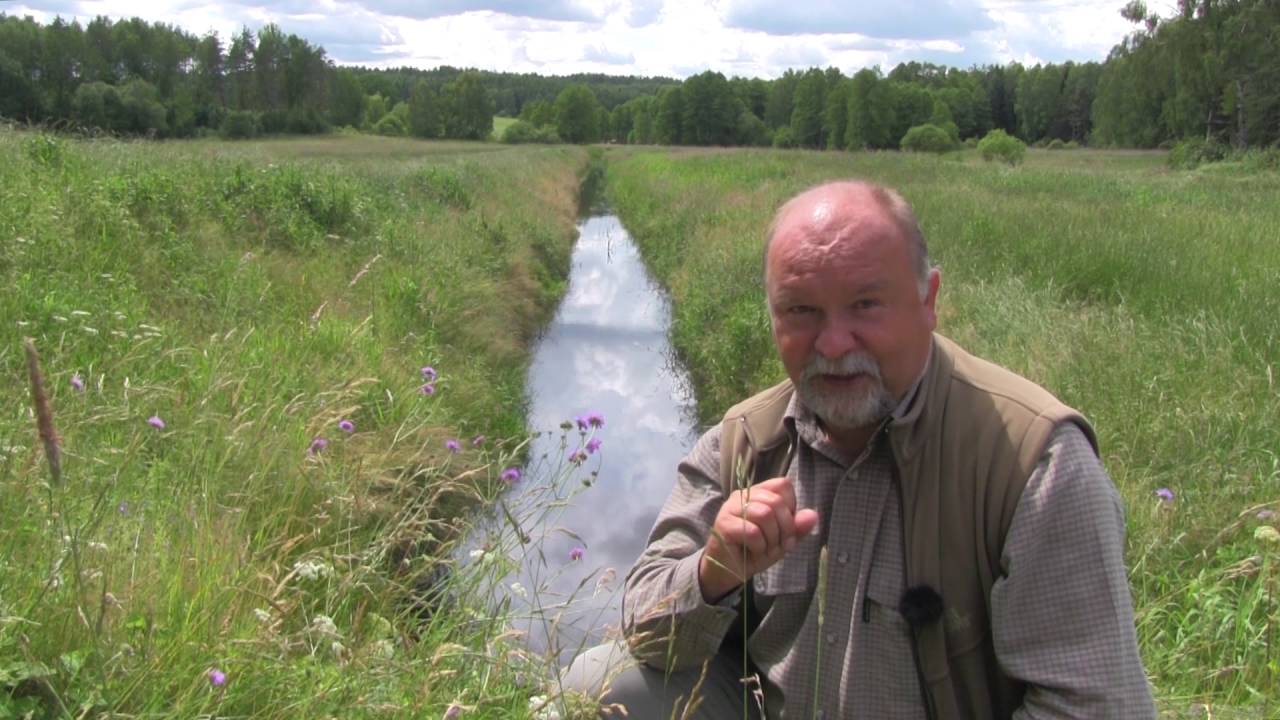 [ODCINEK 10] Eko-skarby pomorskiej przyrody. Źródła Parsęty i Gwdy