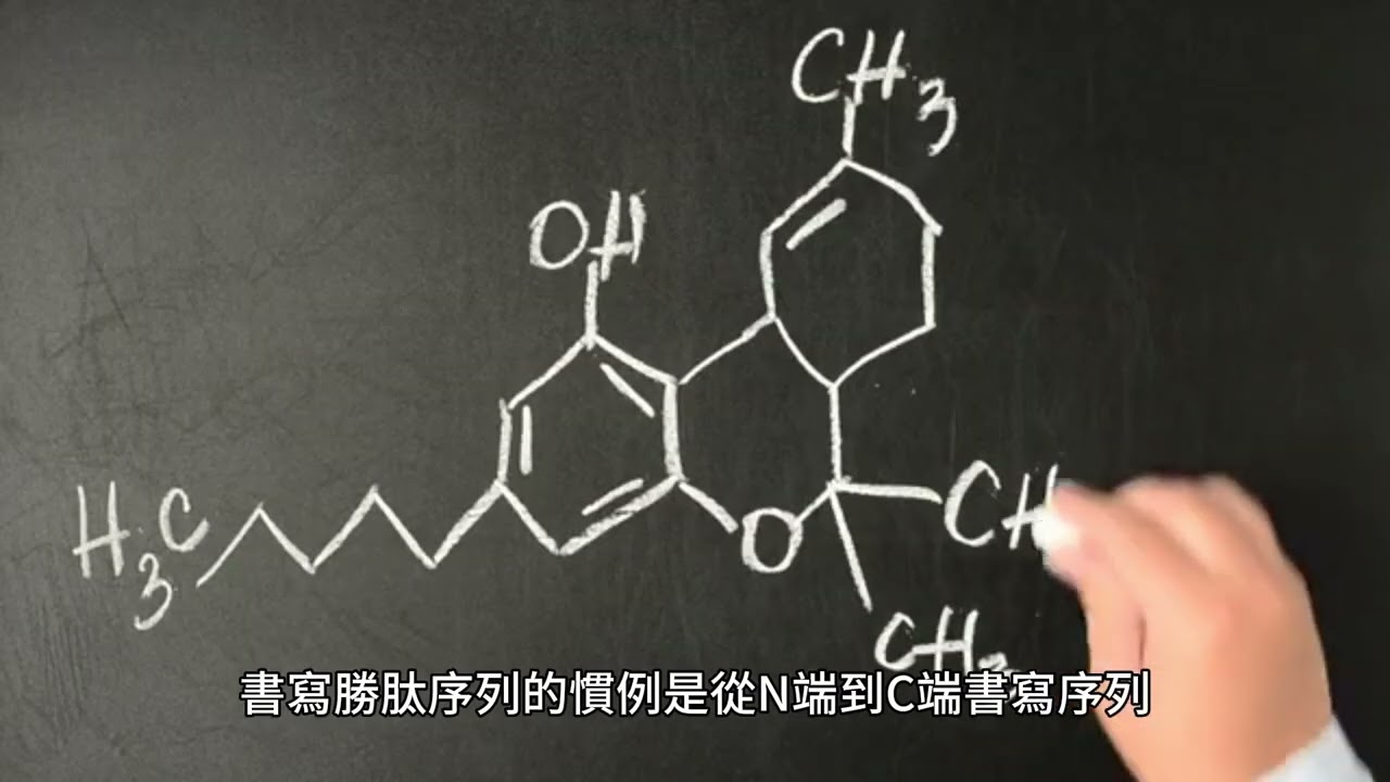 了解蛋白質和多肽的 C 端：羧基 (-COOH) 在胺基酸鏈翻譯和蛋白質合成中的重要性