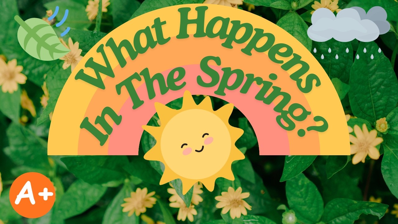 What Happens in the Spring? | Spring Weather & Nature for Kids