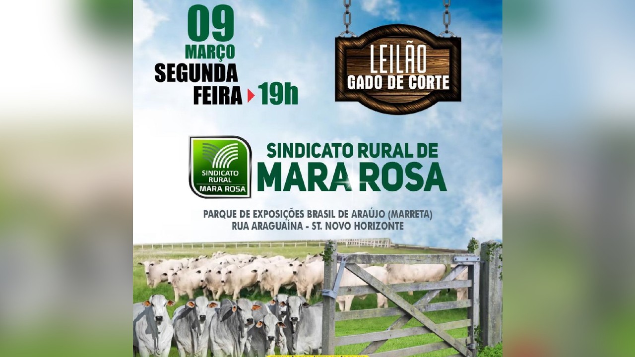 LEILÃO GADO DE CORTE - SINDICATO RURAL DE MARA ROSA 09/03/2026