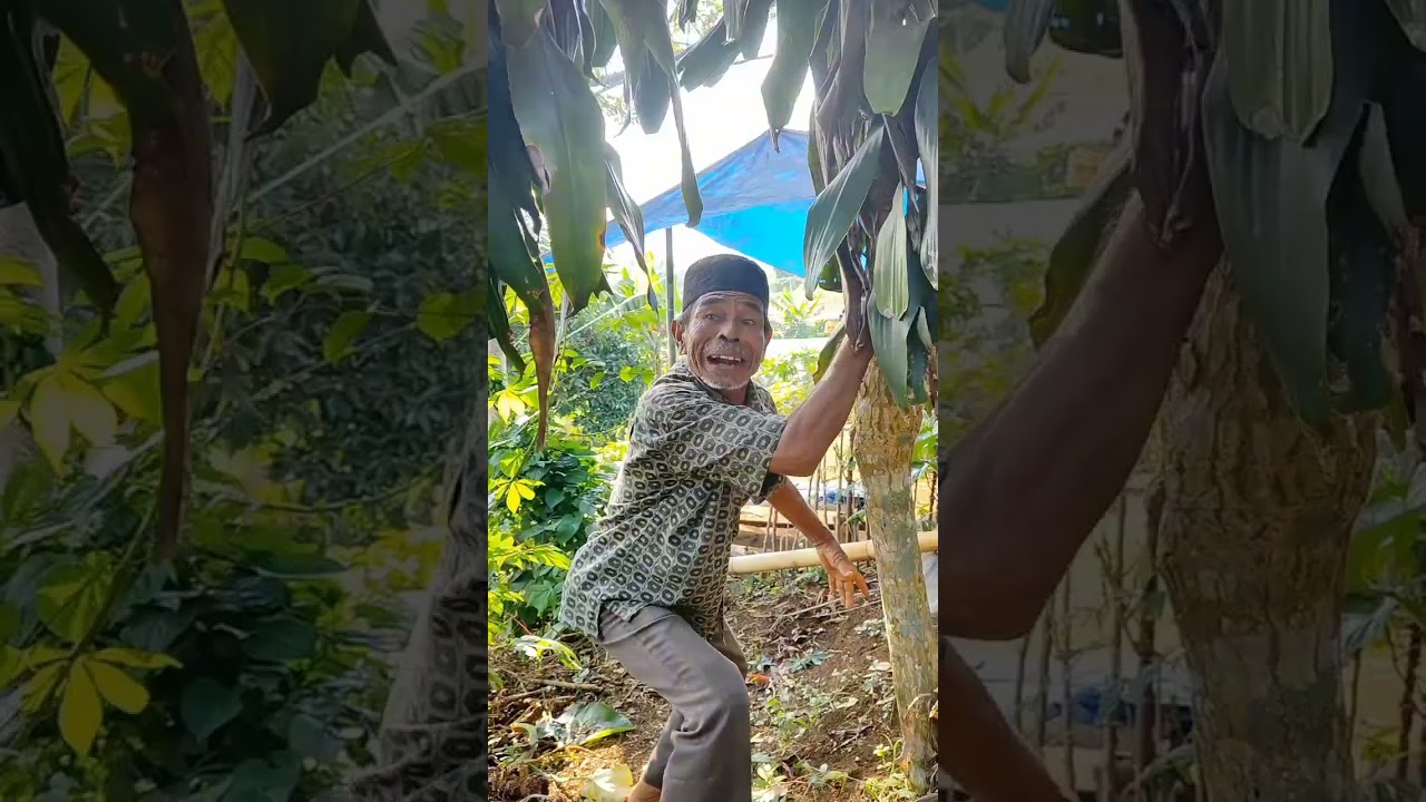 GARA GARA BAGI UANG