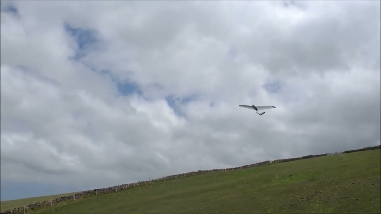 Angel Wing Designs Pug V2 Vee Tail Maiden Flight