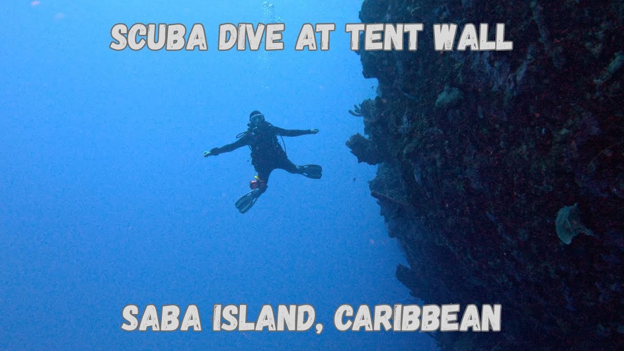SCUBA Dive at Tent Wall, Saba Island, Caribbean