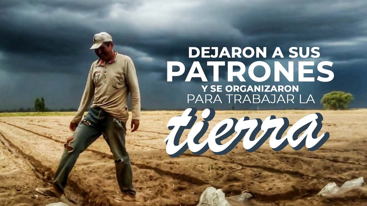 DEJARON A SUS PATRONES PARA TRABAJAR LA TIERRA | Agroecología, comunidad y cooperativismo