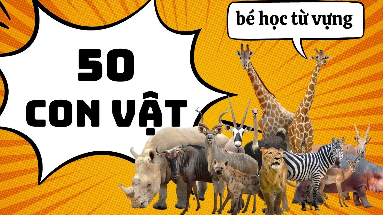 Con G&igrave; Đ&acirc;y | Dạy t&ecirc;n c&aacute;c con vật cho b&eacute; học n&oacute;i nhanh | Tủ s&aacute;ch của T&ocirc;m
