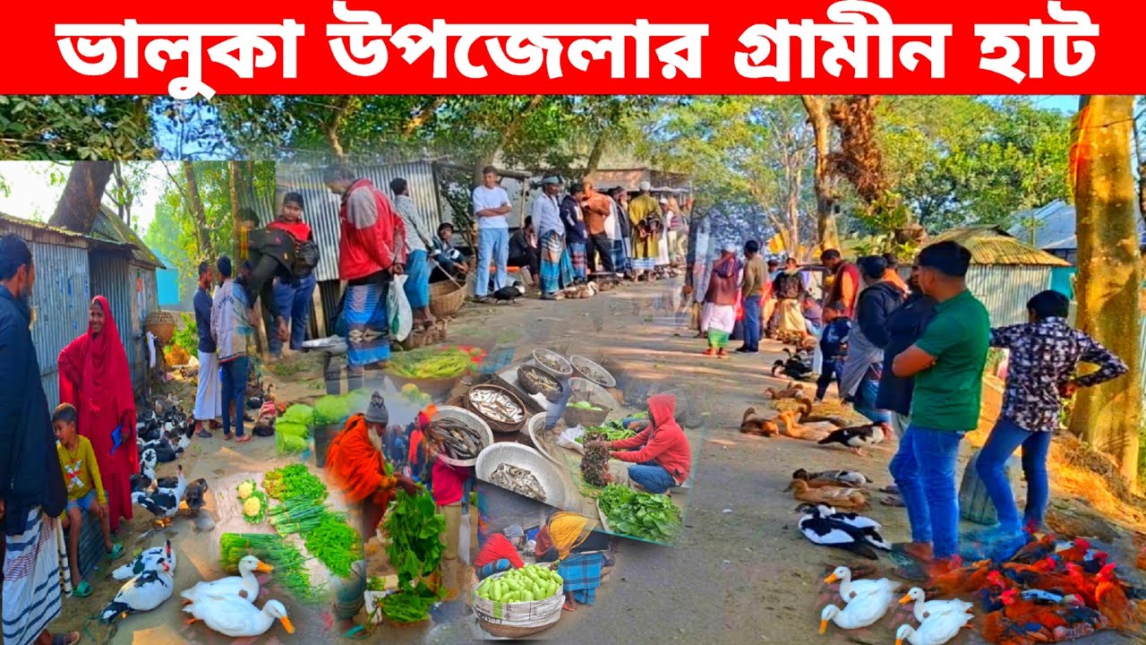 খোলা আঁকাশের নিচে অপূর্ব সুন্দর গ্রামীন হাট | Bangladeshi village market 