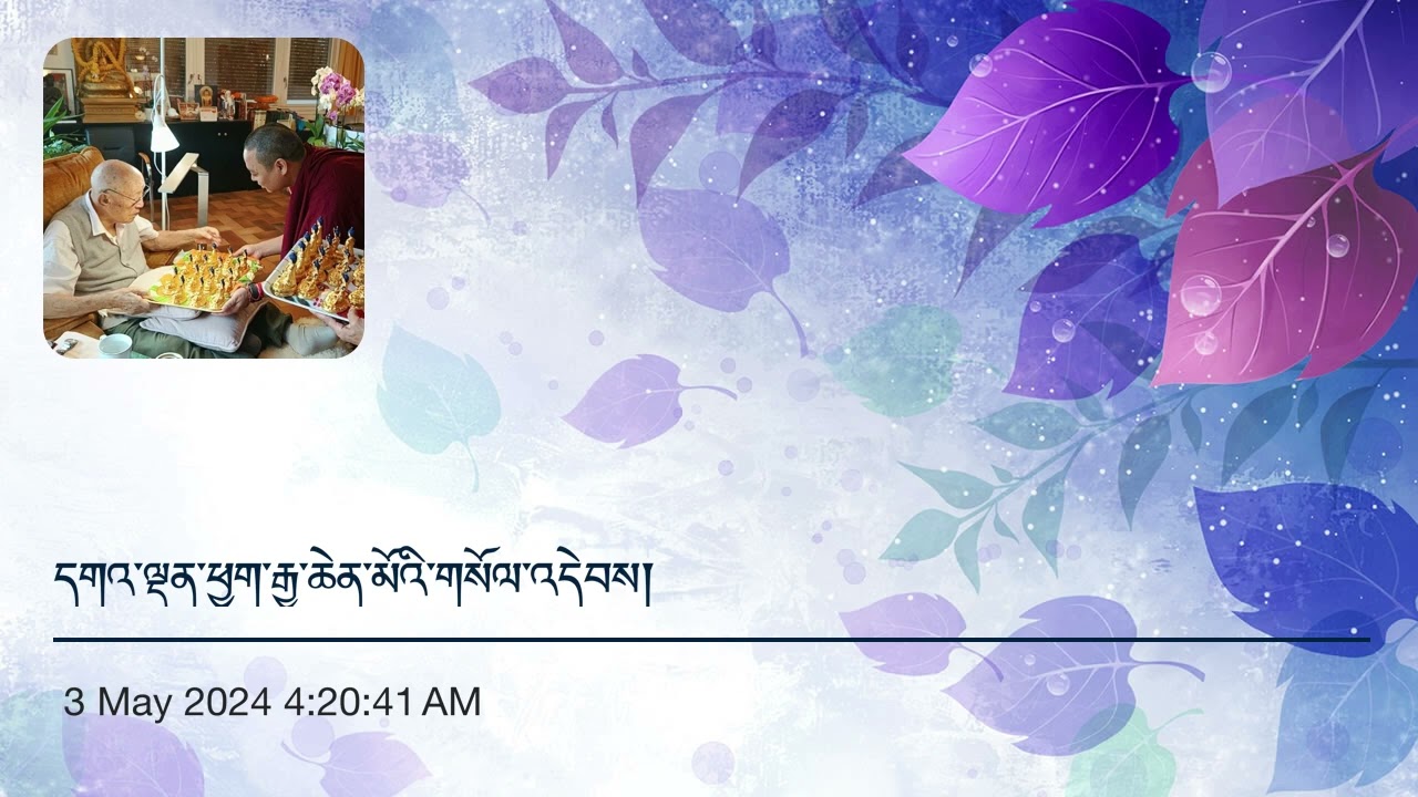 ༢༠༢༥/༥/༣/ ཉིན། དགའ་ལྡན་ཕྱག་རྒྱ་ཆེན་མོའི་གསོལ་འདེབས་བདག་གི་བླ་མ་རིན་པོ་ཆེ་དང་ལྷན་དུ། 