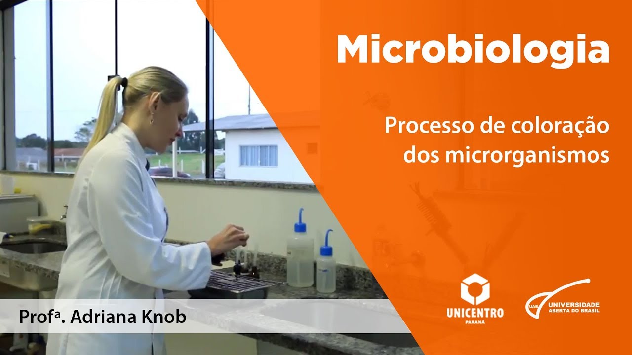 [BIO] Processo de coloração dos microrganismos