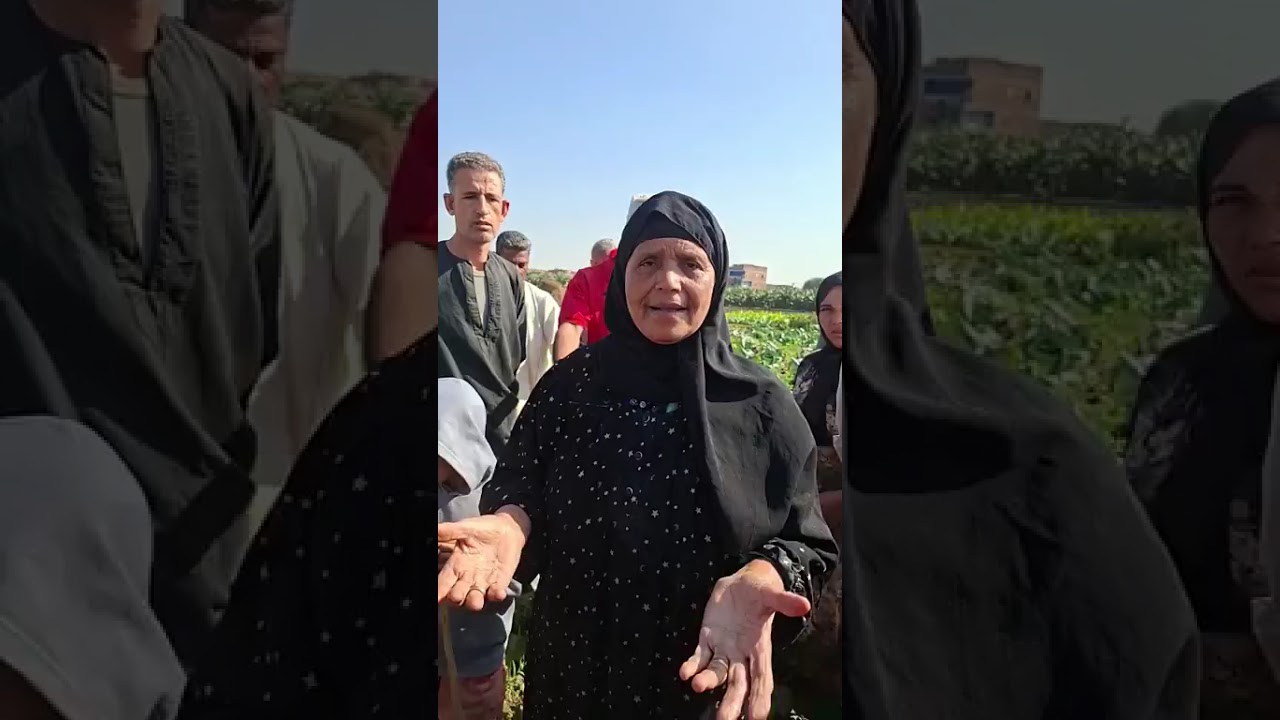 رفعت إيجار الأرض لـ50 ألف جنية .. وإحنا مش قادرين