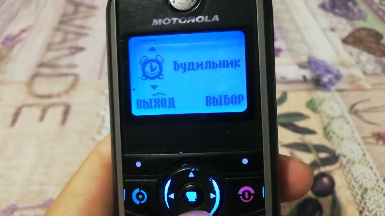 Обзор телефона Motorola C118