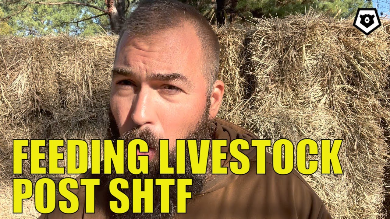 Feeding Livestock Post-SHTF