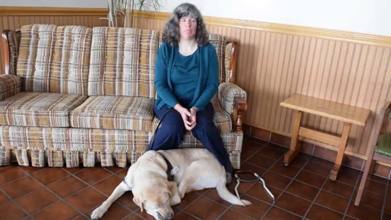 Why I Attend State Convention