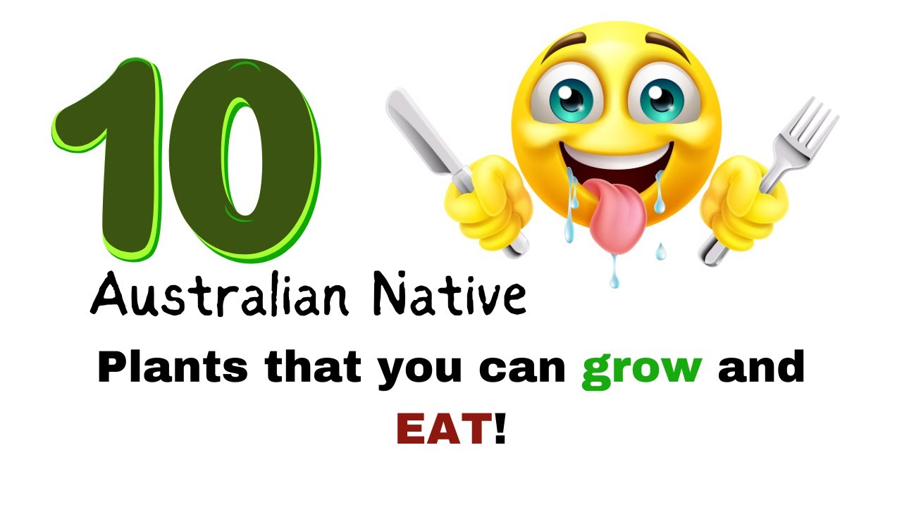 Bush Food Australia - Ten Bush Tucker Plants for your Garden - 
