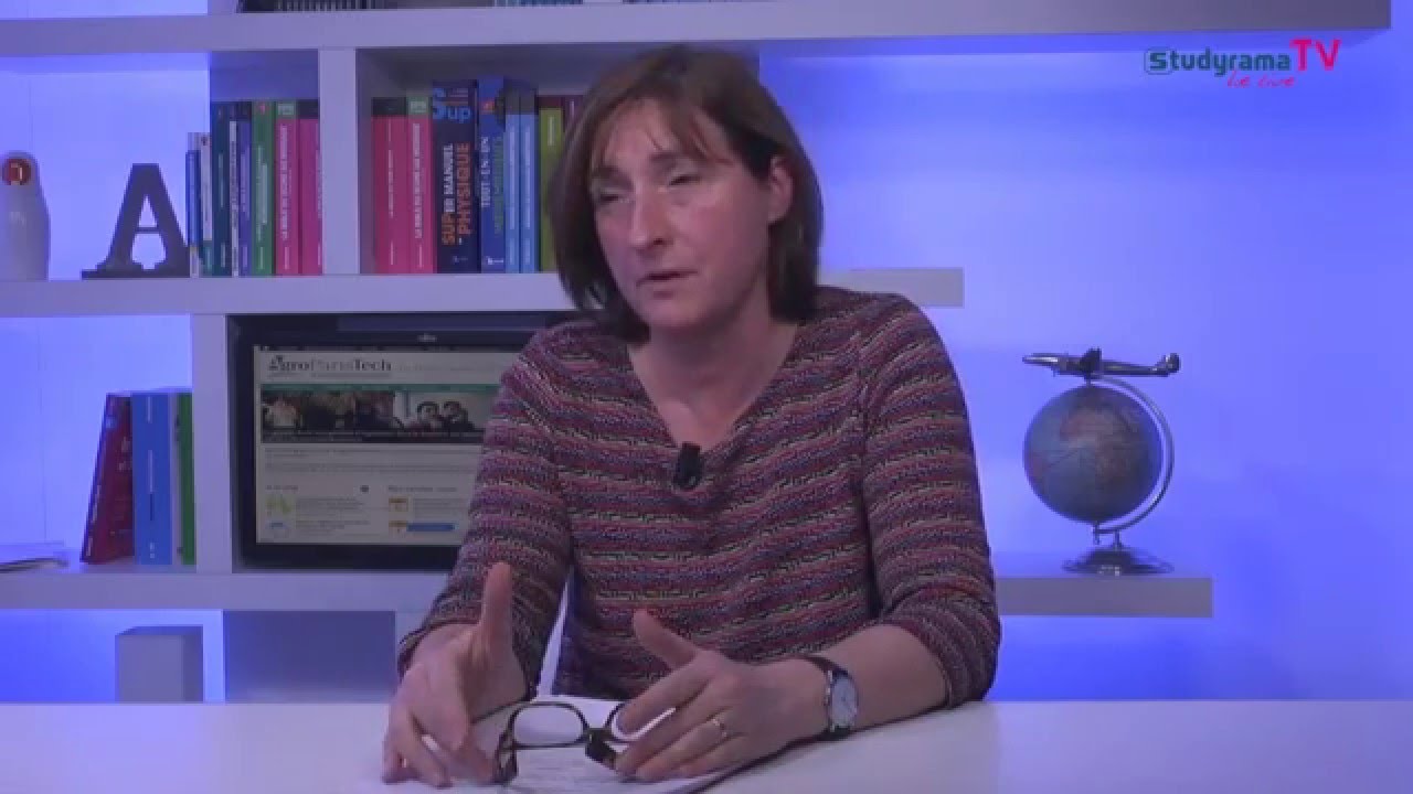 Agro ParisTech : tout savoir sur le MS Forêt, nature et société, option management international