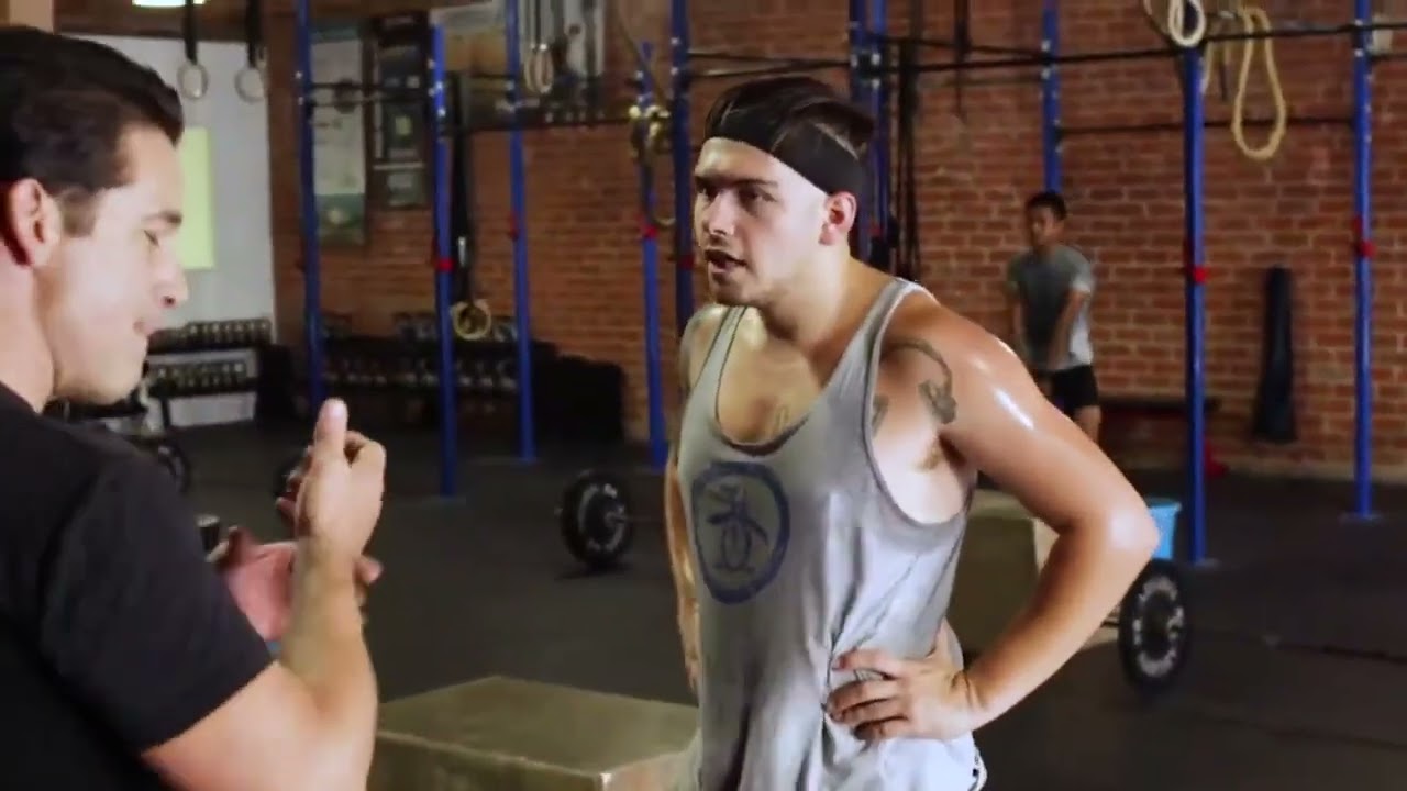 Hollywood Fitness Gym: The Fitness Prescription Coach For Life Program