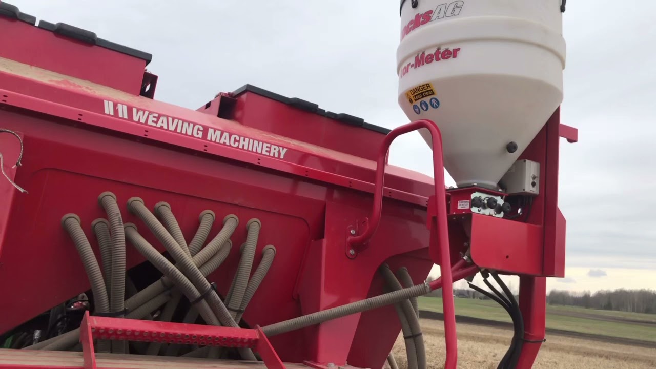 Vīķu sēja 22.04.2021 Weaving GD