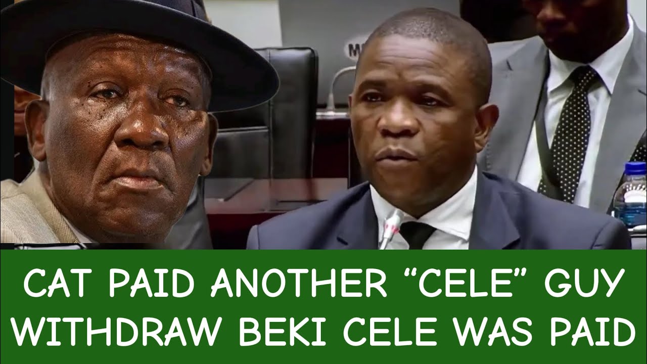 Генерал Мкванази — какой-то другой парень по ошибке забрал деньги из Matlalas.