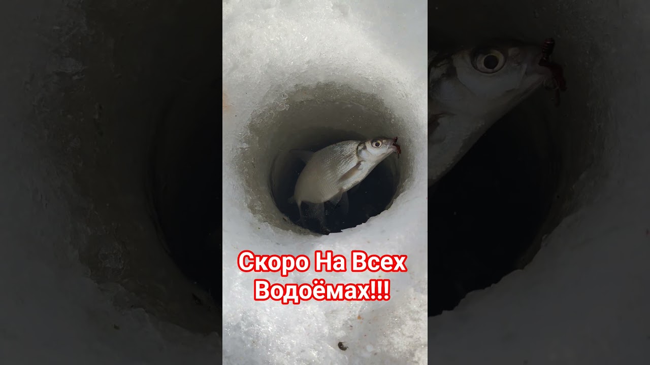 Скоро Жор!!!