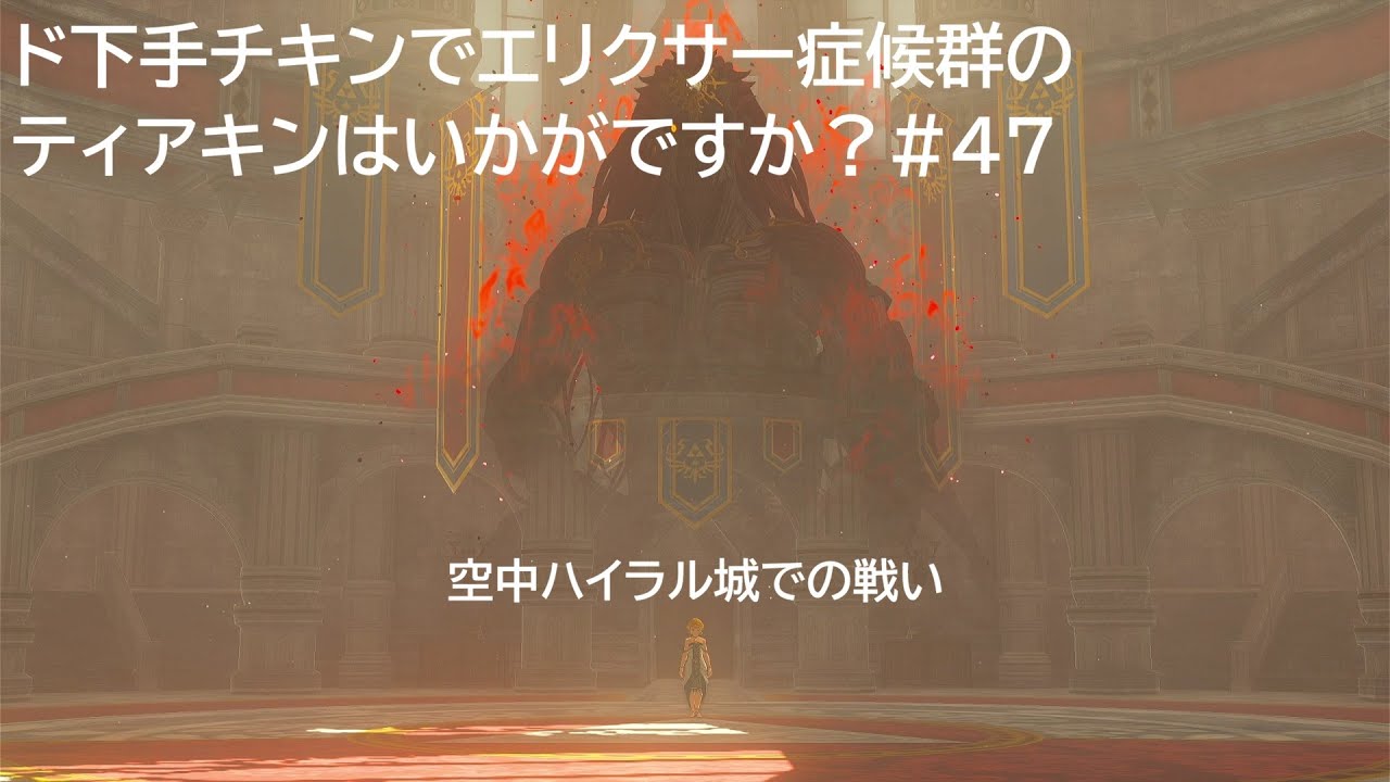 ド下手チキンでエリクサー症候群のティアキンはいかがですか？#47