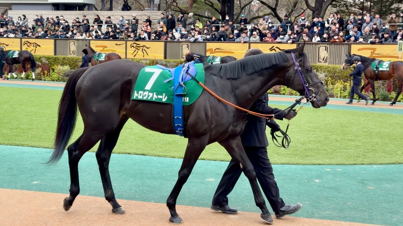 第76回東京新聞杯のパドック　代替競馬