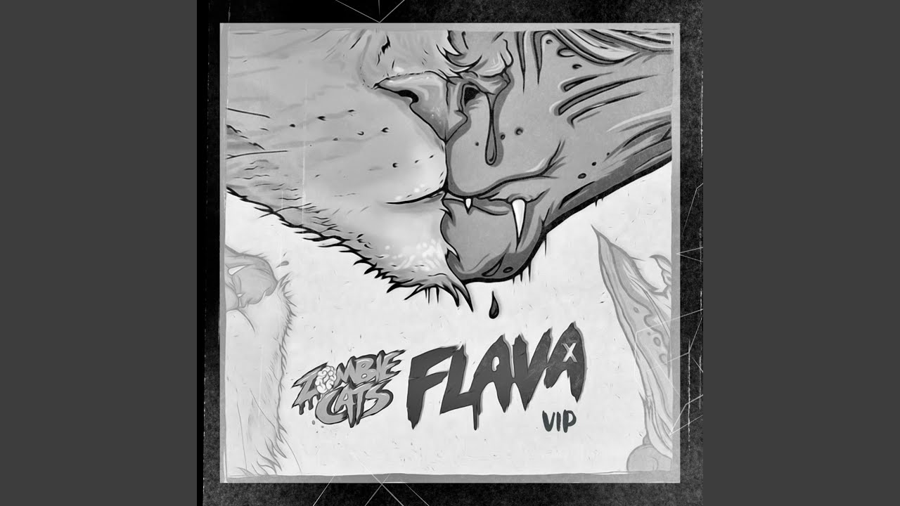 FLAVA VIP