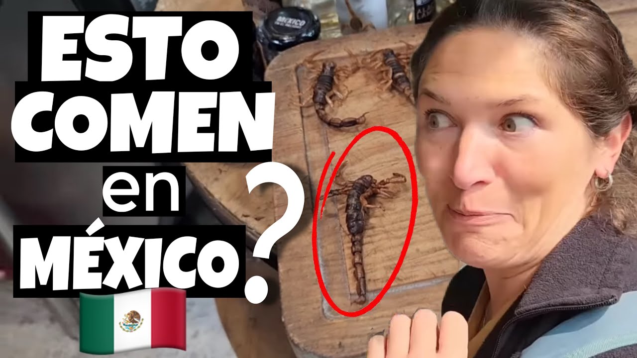 🚨NUNCA HABÍAMOS VISTO ALGO ASÍ | Llegamos en auto a Ciudad de México 🇦🇷🇲🇽