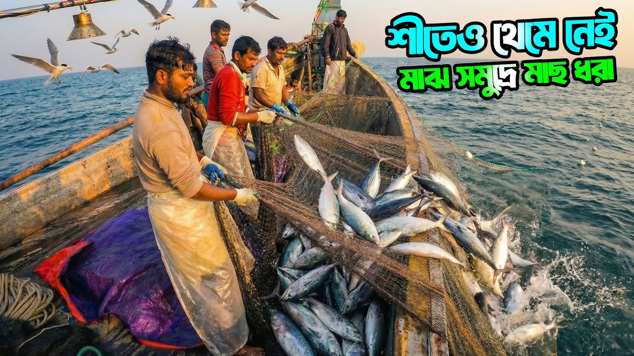 ঢেউ আর শীতের সাথে যুদ্ধ—এইভাবে ইলিশ ধরে জেলেরা! | Dangerous Hilsa Fishing | Adventure BD