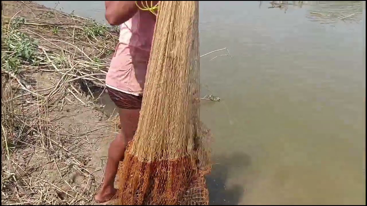 होली के पहले तालाब से पकड़वाई बहुत सारी मछलियां दिखाते हैं आपको कैसे फसी इतनी सारी मछलियां