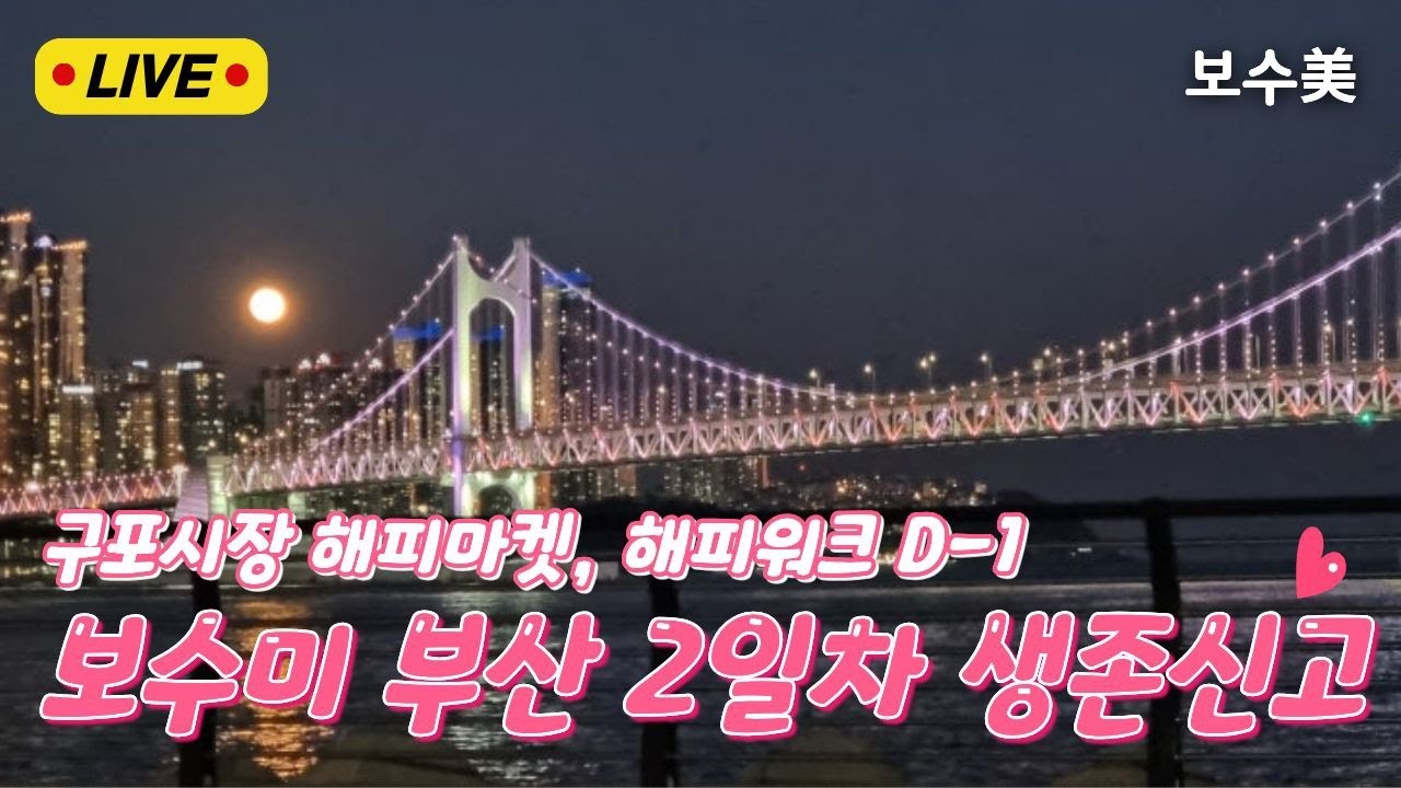 🔴보수미 LIVE🔴부산 2일차 생존신고!