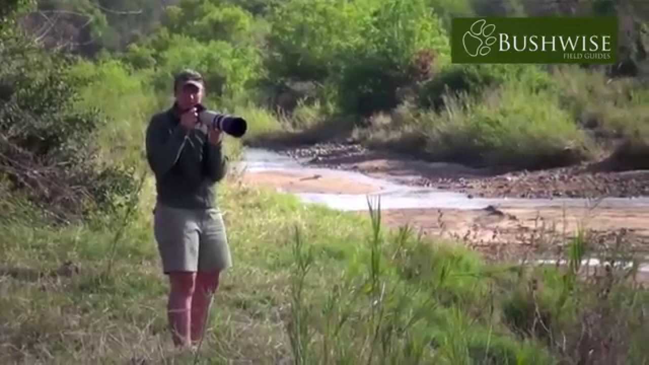 Bushwise FGASA Field Guide Course - the movie 2014