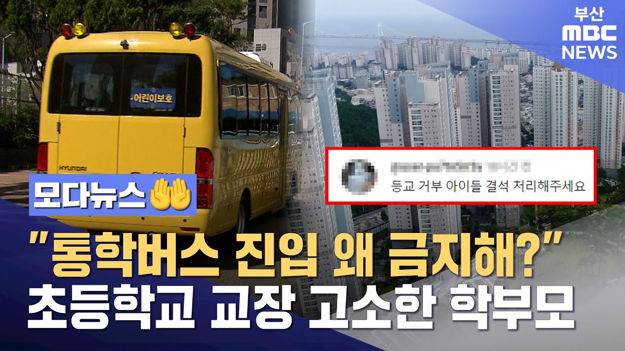 [모다뉴스🤲] 
