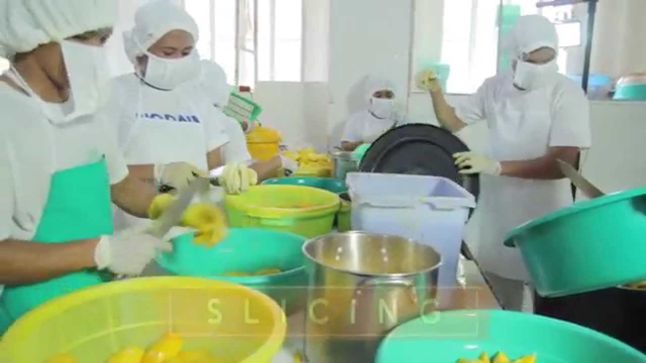 Fair Trade Cebu - Processing of Dried Mango