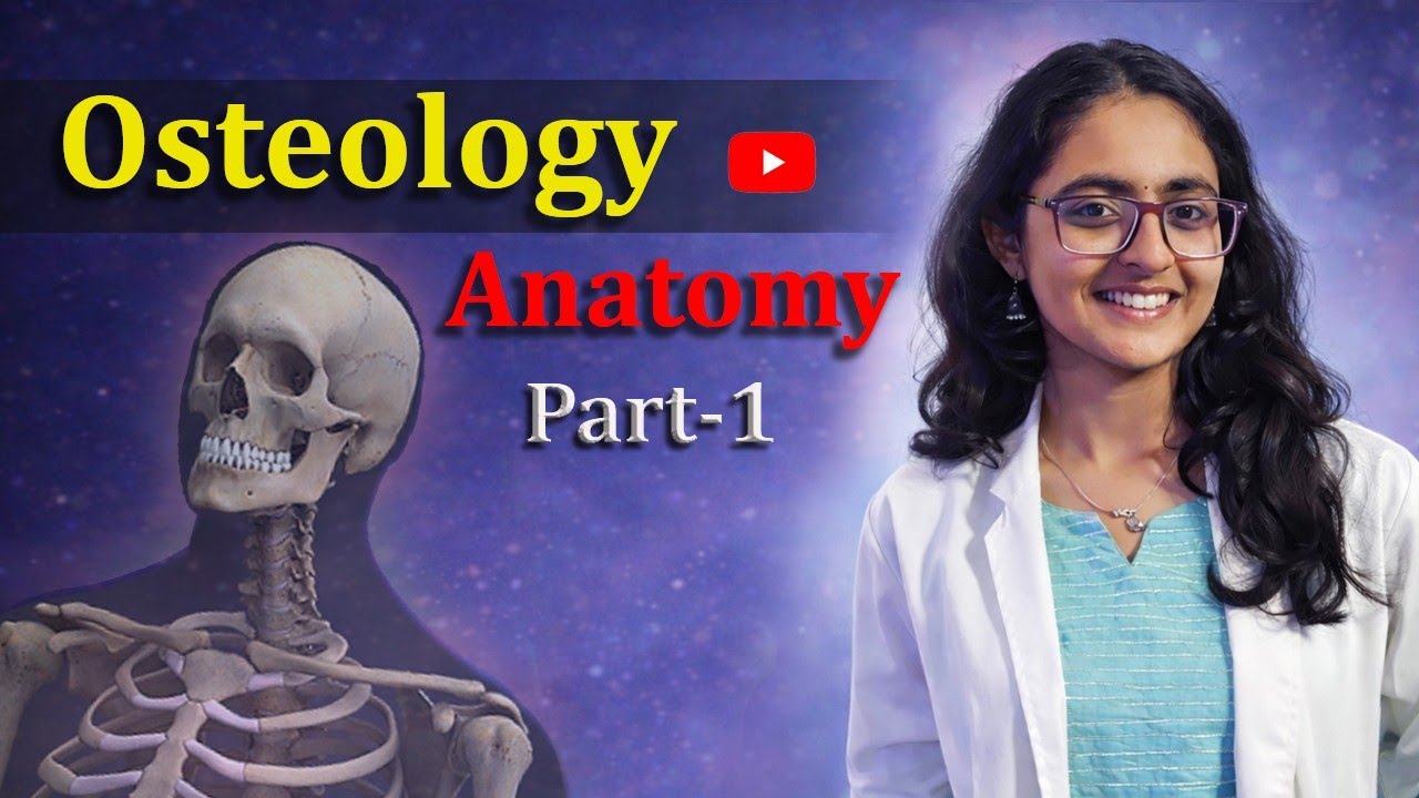 Clavicle & Scapula (Osteology part-1) l Anatomy 
