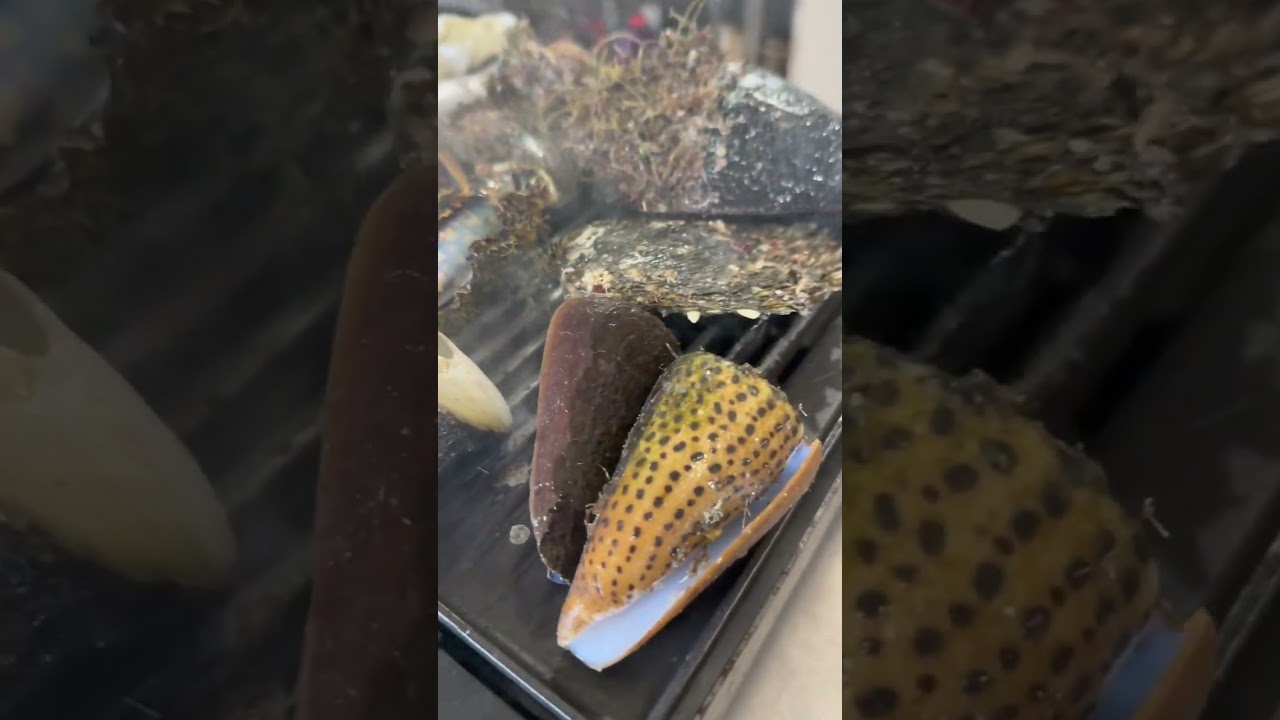 we love seafood 