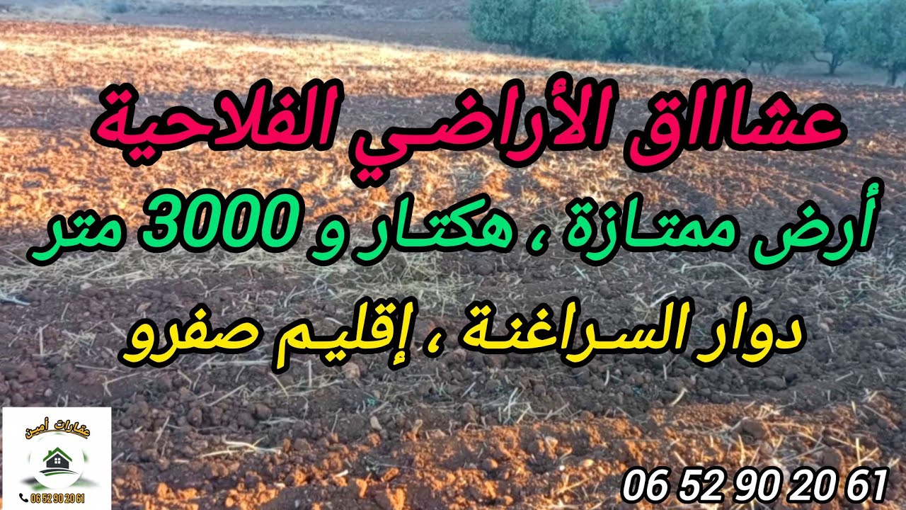 2025-10-18 : أرض ملكية هكتار و 3000 متر ، دوار السراغنة ،10 زيتونات🫒 و خروبة .. ☎️ 0652902061