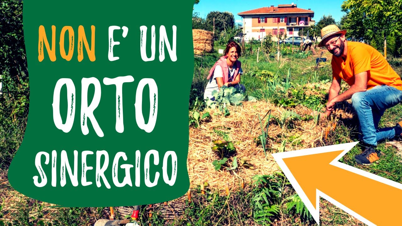 ORTO SINERGICO e PERMACULTURA, con @boscodiogigia