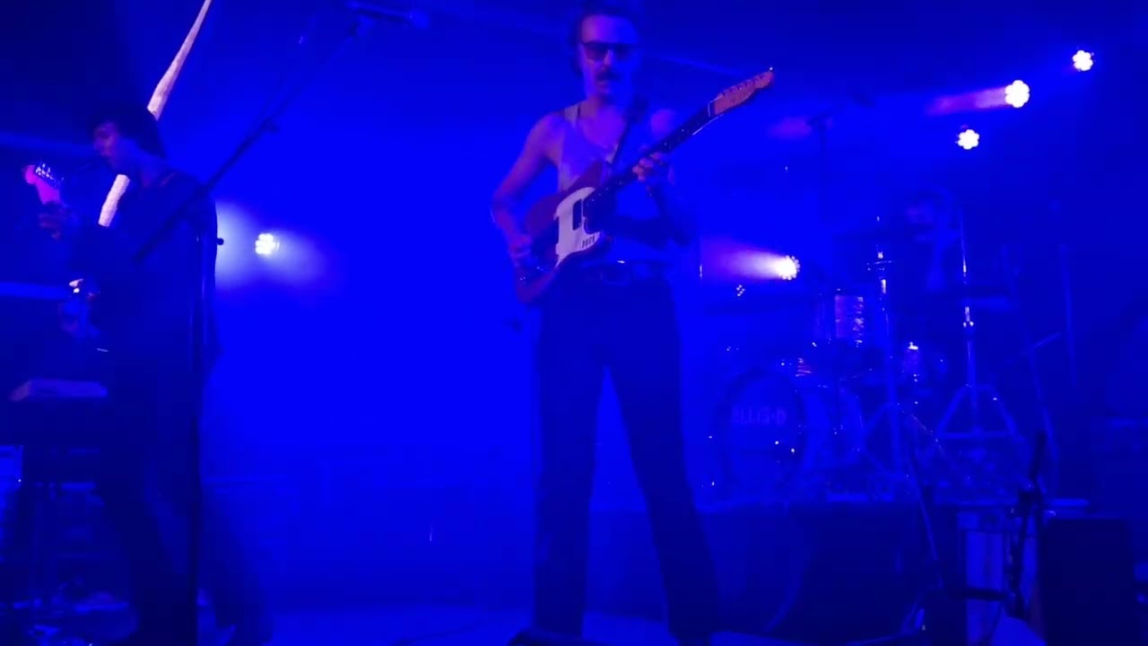 ELLIS D - glass/insect at leffingeleuren