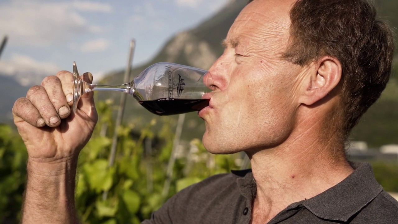 Mon cépage préféré : Le Merlot
