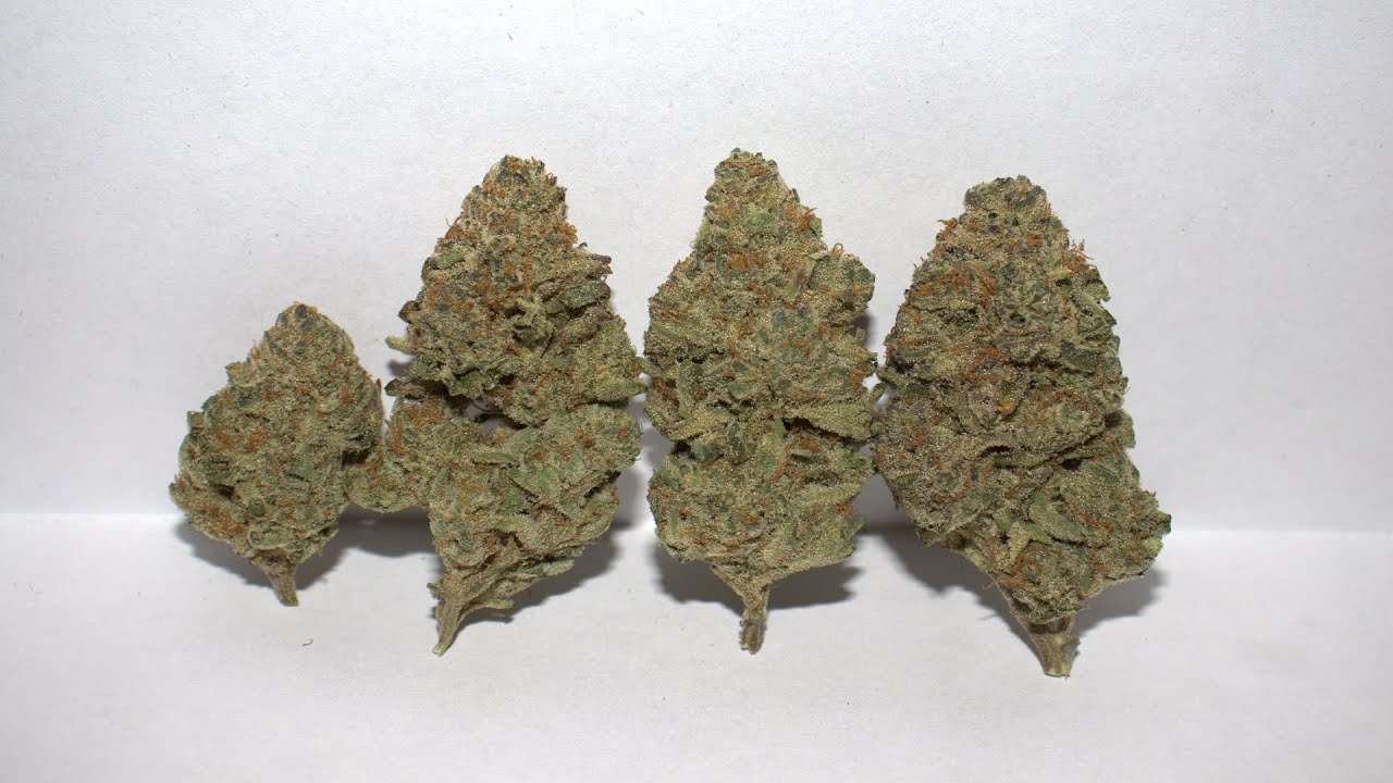 Strain Review - Animal Bubba by Ripper Seeds