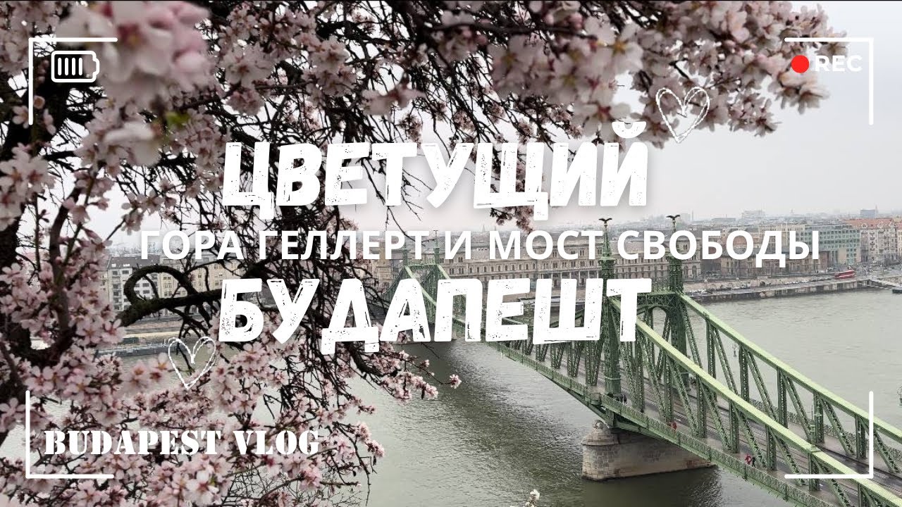 Цветущий Будапешт. Холм Геллерт и миндальное дерево. Мост Свободы и что общего с Эйфелевой Башней.