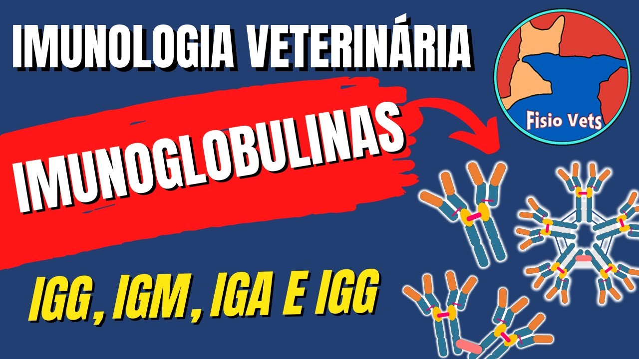 Imunoglobulinas (anticorpos) igG igM igA e igE - Estrutura e Fun&ccedil;&atilde;o - Imunologia veterin&aacute;ria