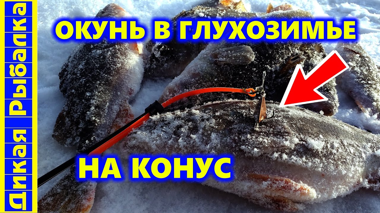 Эта СЕКРЕТНАЯ ДЕДОВСКАЯ снасть не оставит окуню шанса! Ловля окуня на конус. Зимняя рыбалка на окуня