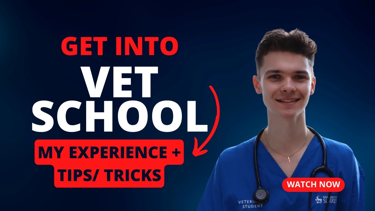 DONT MISS OUT! Get into UK Vet School with These Insider Tips 2023| Jason Haley