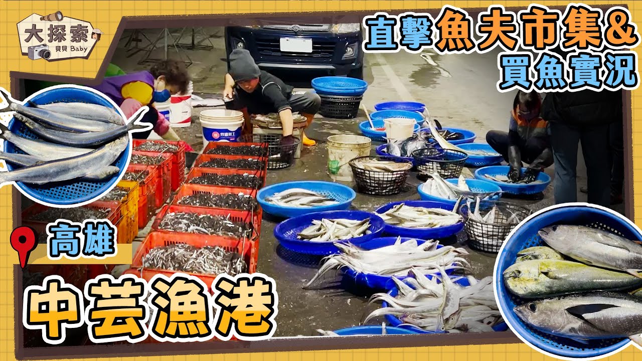 【漁港走透透 Fishing Harbor Tales】#65 高雄林園中芸漁港及魚貨拍賣實況｜Fishing Port & Seafood ｜ EP_160