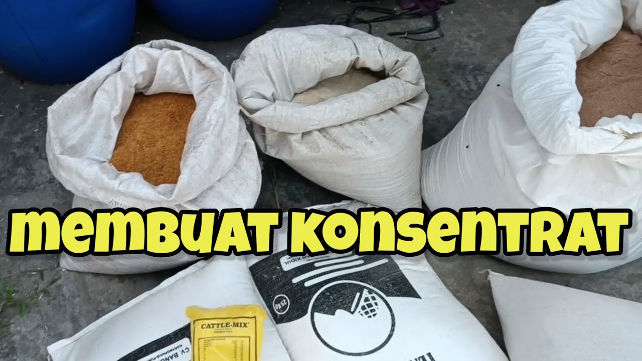 Mudahnya Membuat Konsentrat Kambing Domba Protein Tinggi: Tips Praktis untuk Peternak