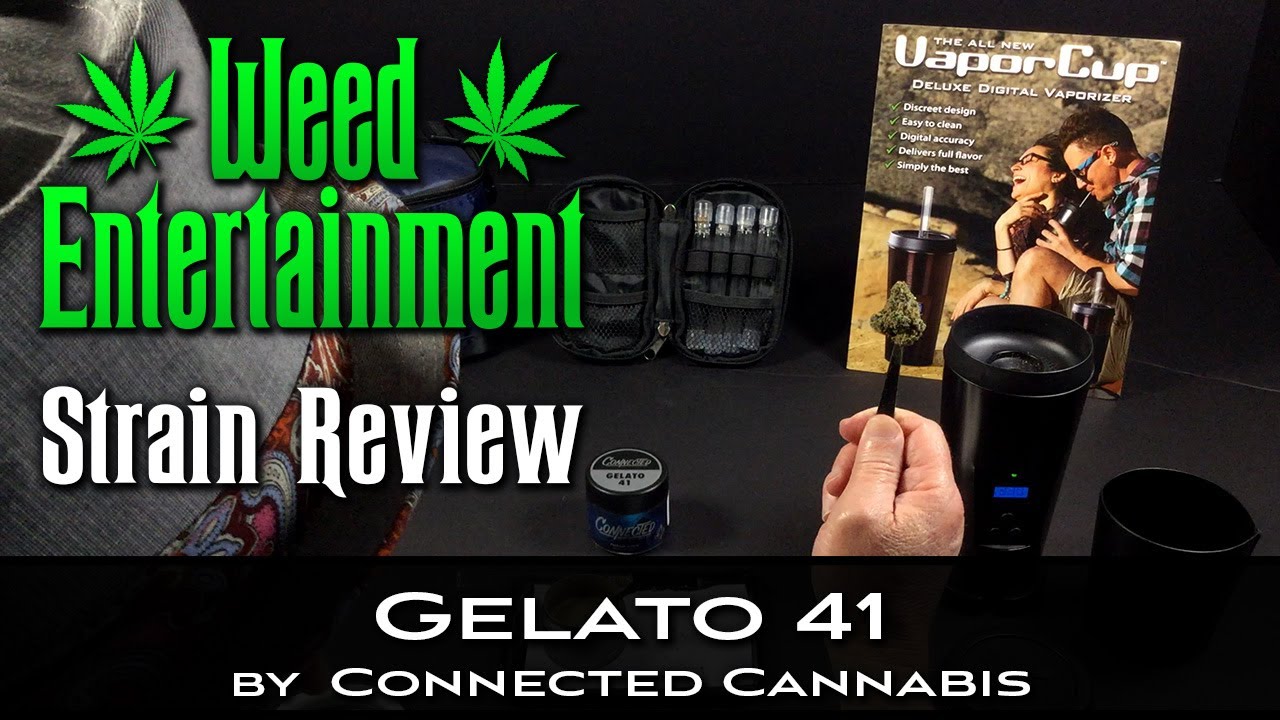 Gelato 41 - Hybrid - by Connected Cannabis - Strain Review - from Dr Greenthumbs, Sylmar Ca