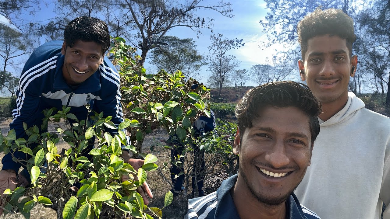 Assam ka Tea ☕️ Garden ghum Liya 😍