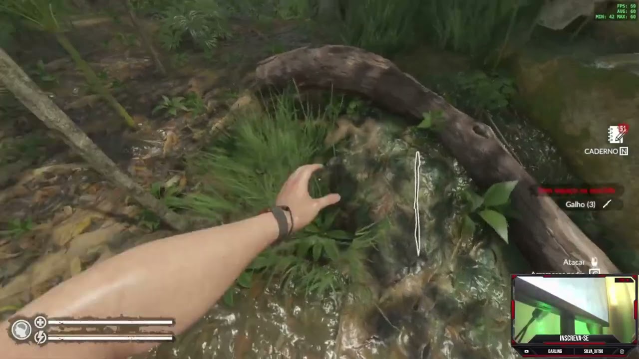 Jogando Green Hell