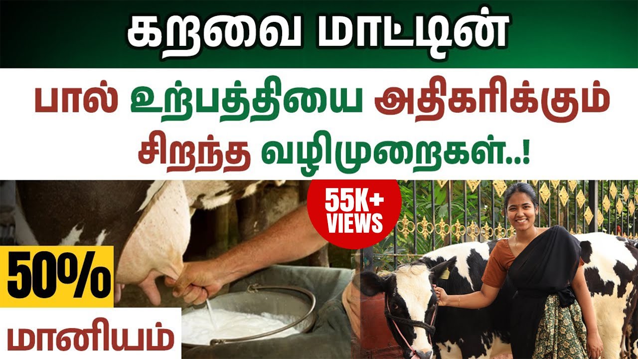 மாட்டு பால் அதிகரிக்க தீவனங்கள் | மாட்டு பண்ணைக்கு அரசு தரும் மானியங்கள்