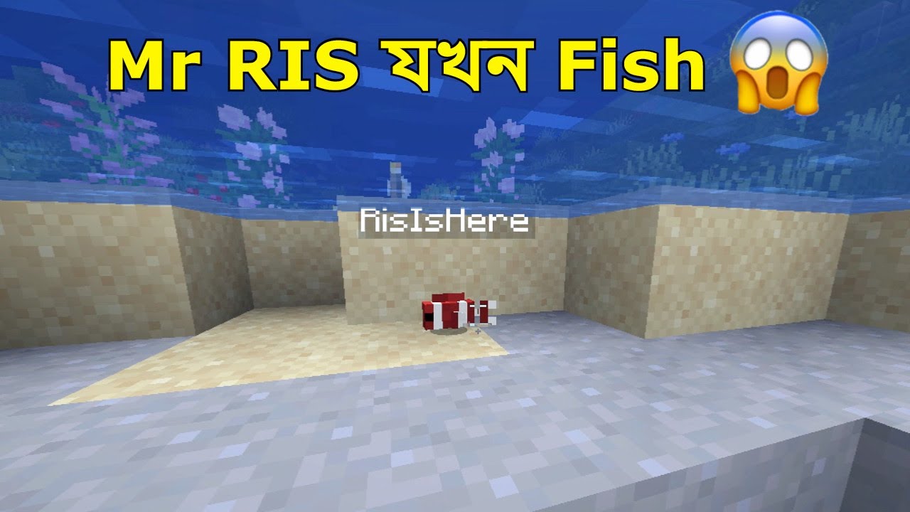 Mr RIS যখন Fish | Minecraft Bangla Gameplay | BIDUSHI PLAYS